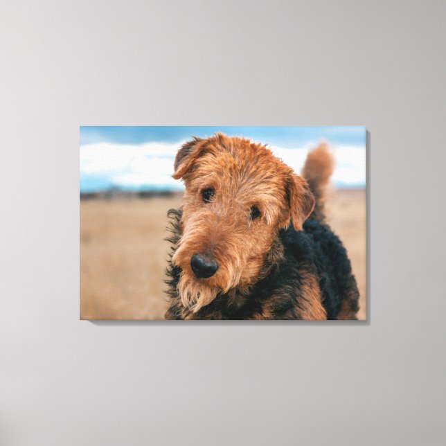 Portrait of a Airedale Terrier Leinwanddruck (Vorderseite)