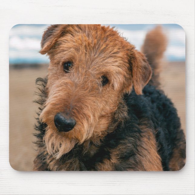 Portrait of a Airedale Terrier Mousepad (Vorne)