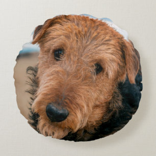 Portrait of a Airedale Terrier Rundes Kissen