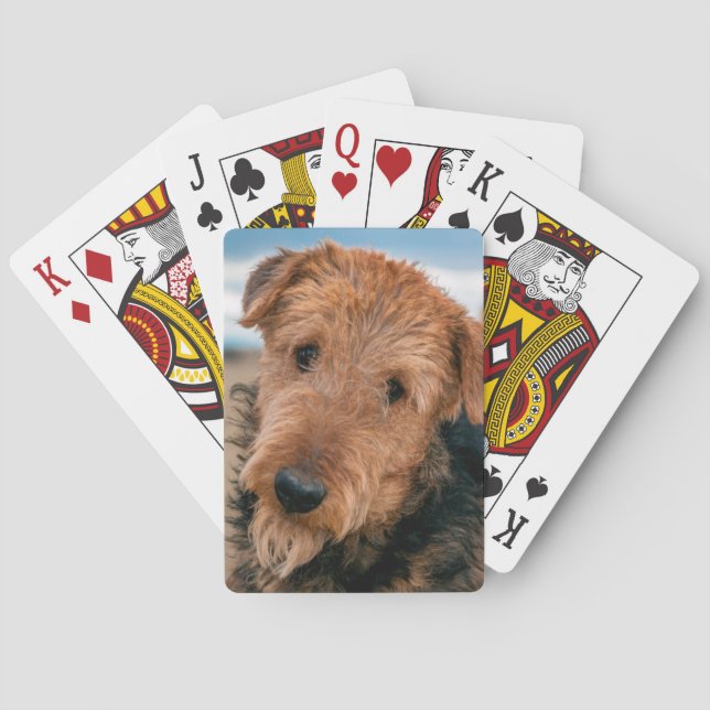 Portrait of a Airedale Terrier Spielkarten (Rückseite)
