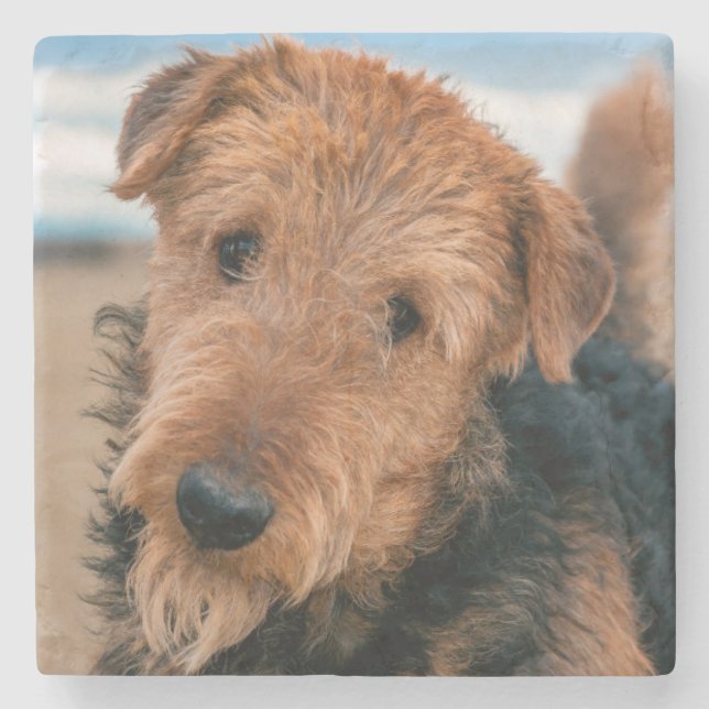 Portrait of a Airedale Terrier Steinuntersetzer (Vorderseite)