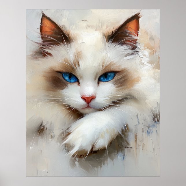 Portrait of a charming Ragdoll Cat with blue eyes Poster (Vorne)