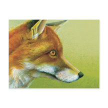 Portrait of a fox fine art postcard