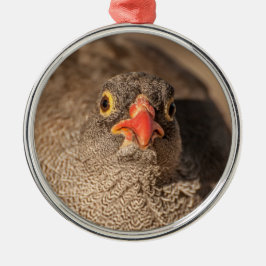 Portrait of a Grouse Ornament Aus Metall