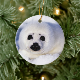 Portrait of a Harp Seal Pup Keramik Ornament
