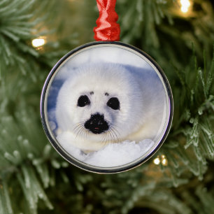 Portrait of a Harp Seal Pup Ornament Aus Metall