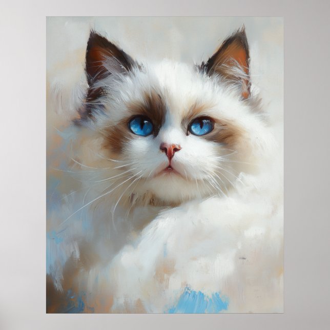 Portrait of an elegant Ragdoll Cat with blue eyes Poster (Vorne)