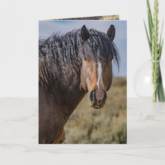 Portrait of Bello Greeting Card Einladung (Vorderseite)