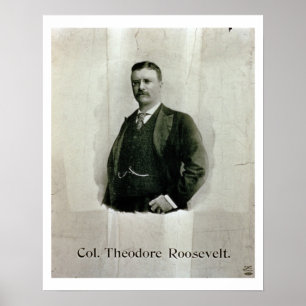 Portrait of Colonel Theodore Roosevelt (litho) Poster