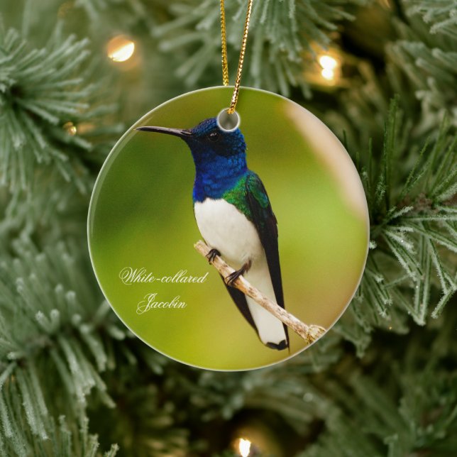 Portrait of Contemplation Round Ornament (Baum)