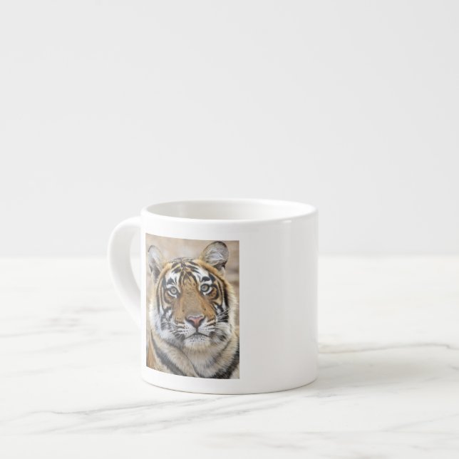 Portrait of Royal Bengalisch Tiger, Ranthambhor Espressotasse (Vorderseite Links)