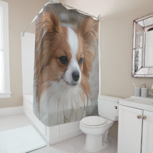 Portrait Papillon Dog Duschvorhang