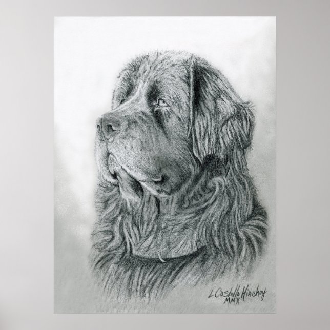 Portrait Poster von Neufundland (Vorne)