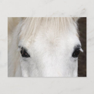 Portrait Postkarte