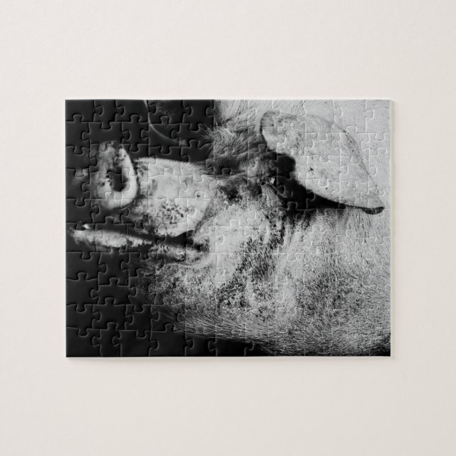 Portrait Puzzle (Horizontal)