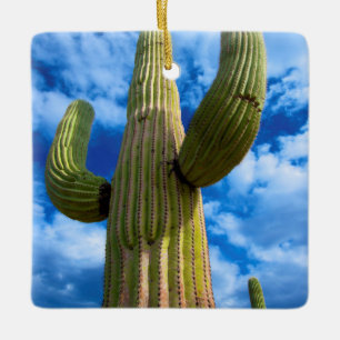Portrait Saguaro Cactus, Arizona Keramikornament