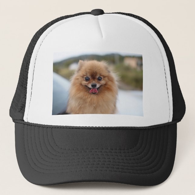 Portrait Spitz Dog Truckerkappe (Vorderseite)