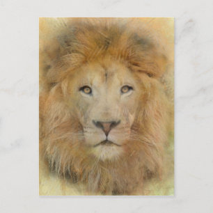 Portrait von African Lion Wildlife Watercolor Postkarte