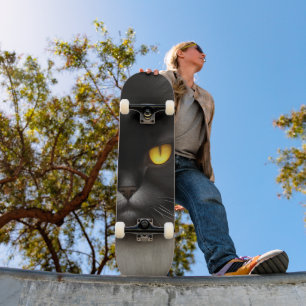 Portrait von Angry Fluffy Black Persian Cat Face Skateboard