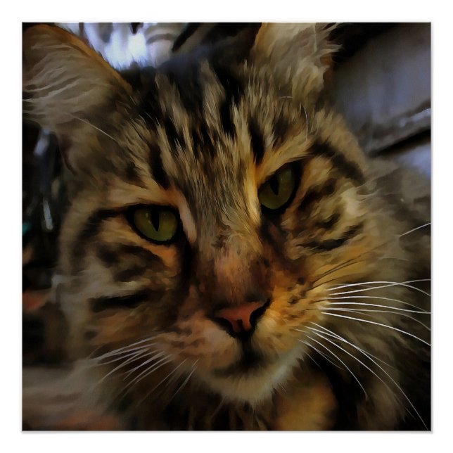 Portrait von Artistic Pet, lang haarige Tablette,  Poster (Vorderseite)