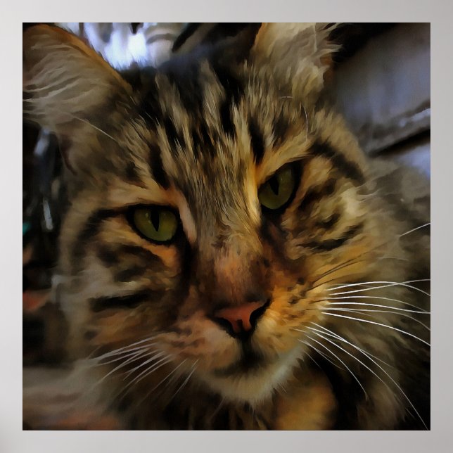 Portrait von Artistic Pet, lang haarige Tablette,  Poster (Vorne)