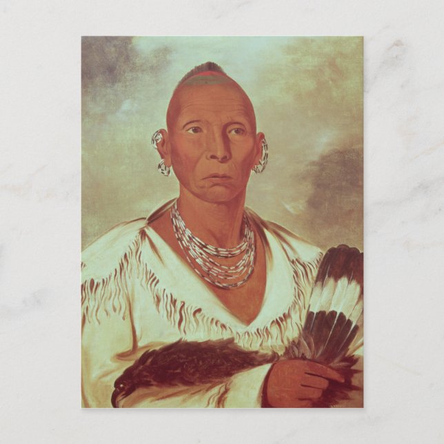 Portrait von Black Hawk, Indischer Chef Postkarte (Vorderseite)