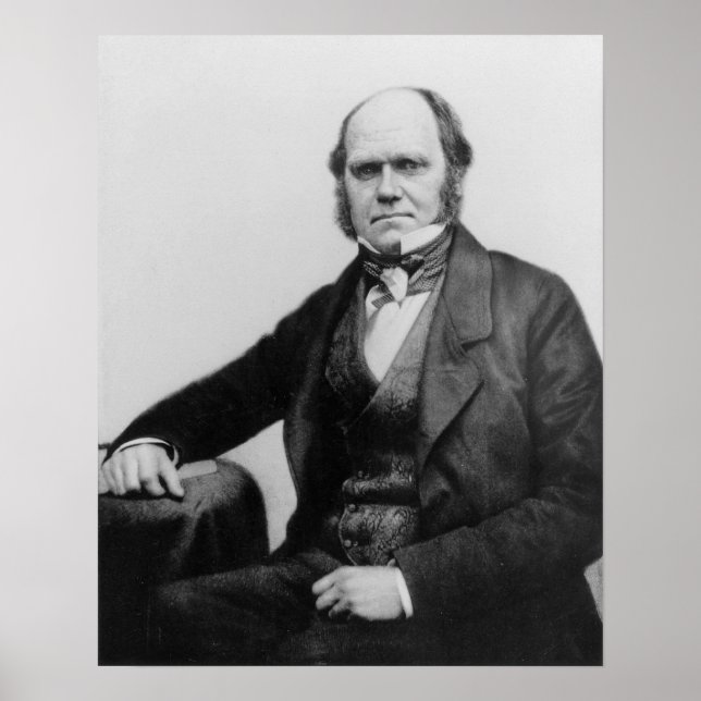 Portrait von Charles Darwin, 1854 Poster (Vorne)