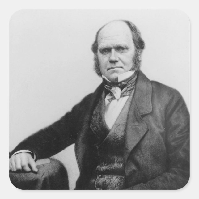 Portrait von Charles Darwin, 1854 Quadratischer Aufkleber (Vorderseite)