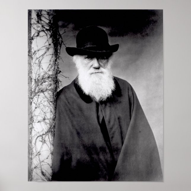 Portrait von Charles Darwin 1881 Poster (Vorne)