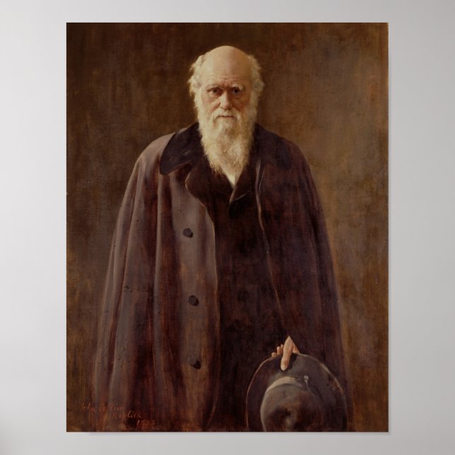 Portrait von Charles Darwin 1883 Poster (Vorne)