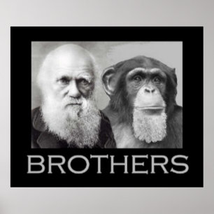 Portrait von Charles Darwin und Ape Poster