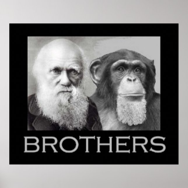 Portrait von Charles Darwin und Ape Poster (Vorne)
