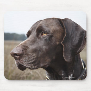 Portrait von Dog, Houston, Texas, USA Mousepad