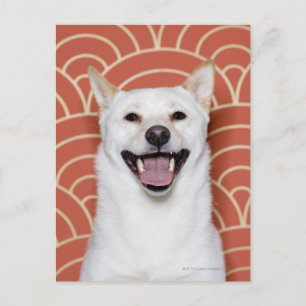 Portrait von Hund 3 Postkarte