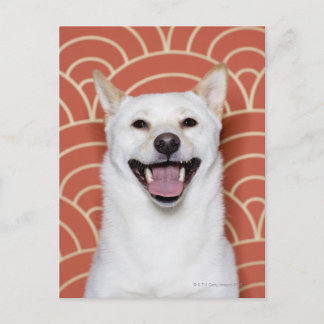 Portrait von Hund 3 Postkarte