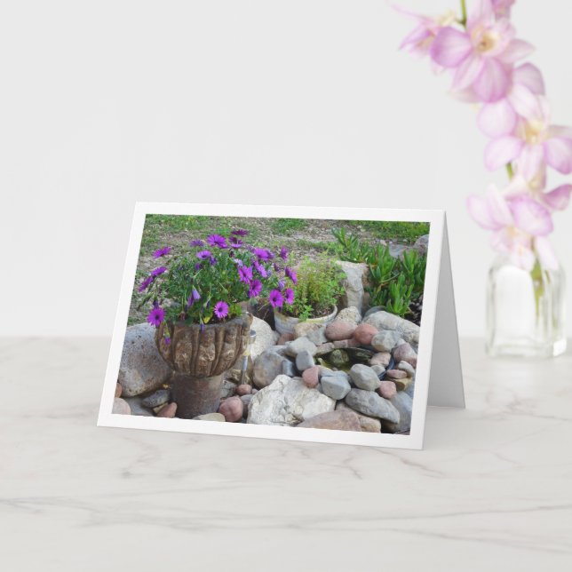 Portrait von lila African Daisies Karte (Orchidee)