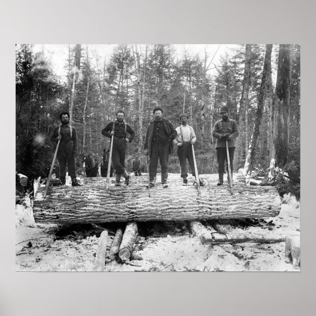 Portrait von Loggers, 1890. Vintages Foto Poster (Vorne)