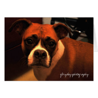 Portrait von Lucie Monroe