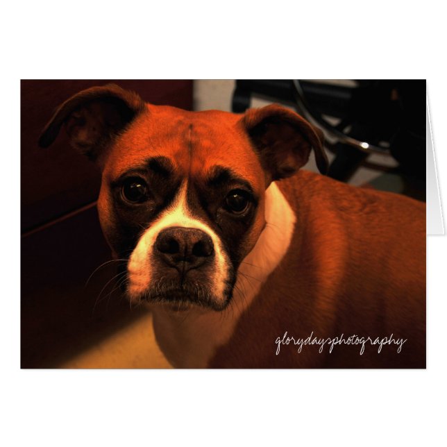 Portrait von Lucie Monroe (Vorderseite (Horizontal))