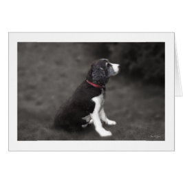 Portrait von Mabel Nr. 1