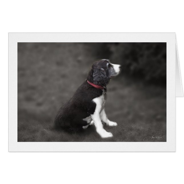 Portrait von Mabel Nr. 1 (Vorderseite (Horizontal))