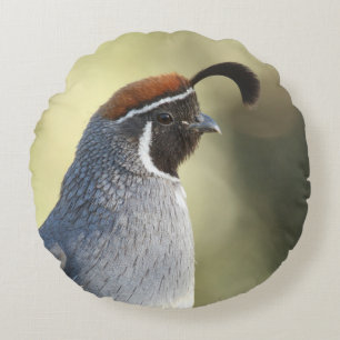 Portrait von männlichen Wachteln Rundes Kissen