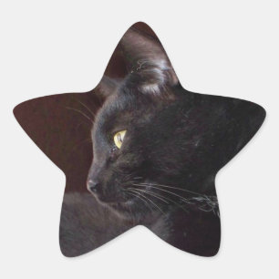 Portrait von My Boy, Charlie-Star-Aufkleber Stern-Aufkleber