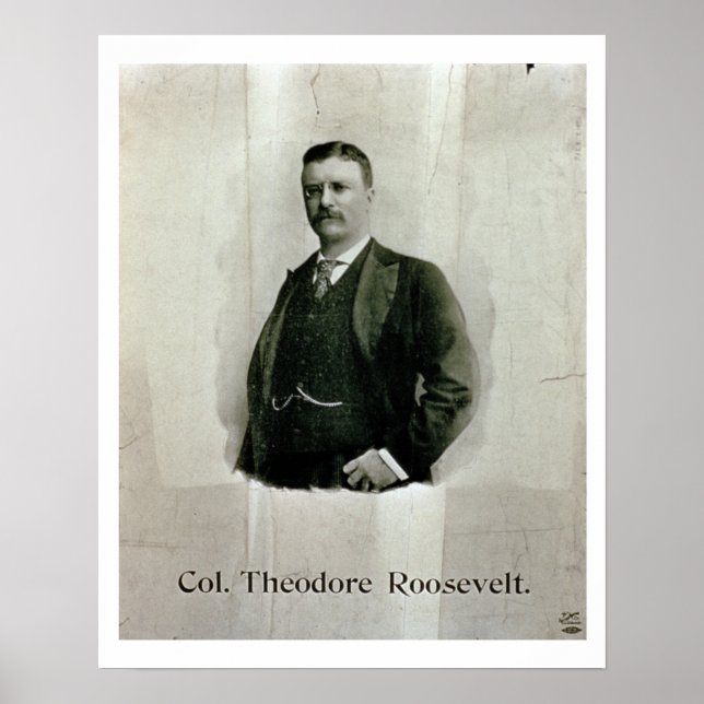 Portrait von Oberst Theodore Roosevelt (Litho) Poster (Vorne)