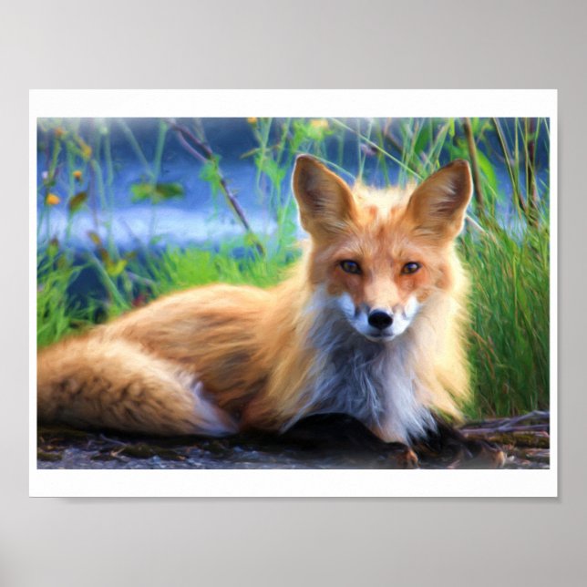Portrait von Red Fox aus einer Aquarellmalerei Poster (Vorne)