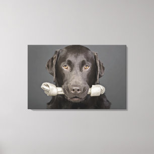 Portrait von Schokoladenlabrador Leinwanddruck