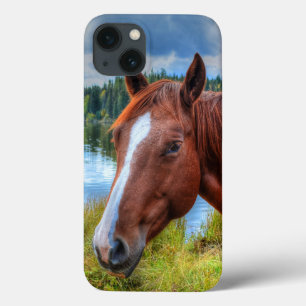 Portrait von Sorrel Mare & Landschaftliches Seequi Case-Mate iPhone Hülle