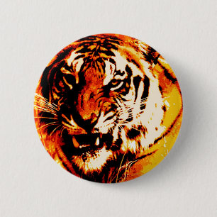 Portrait von Tiger Button