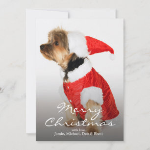 Portrait von Yorkshire Terrier Wearing Weihnachtsm Feiertagskarte