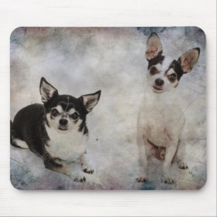 Portrait von zwei Chihuahuahuas Mousepad